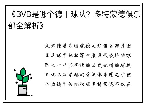《BVB是哪个德甲球队？多特蒙德俱乐部全解析》